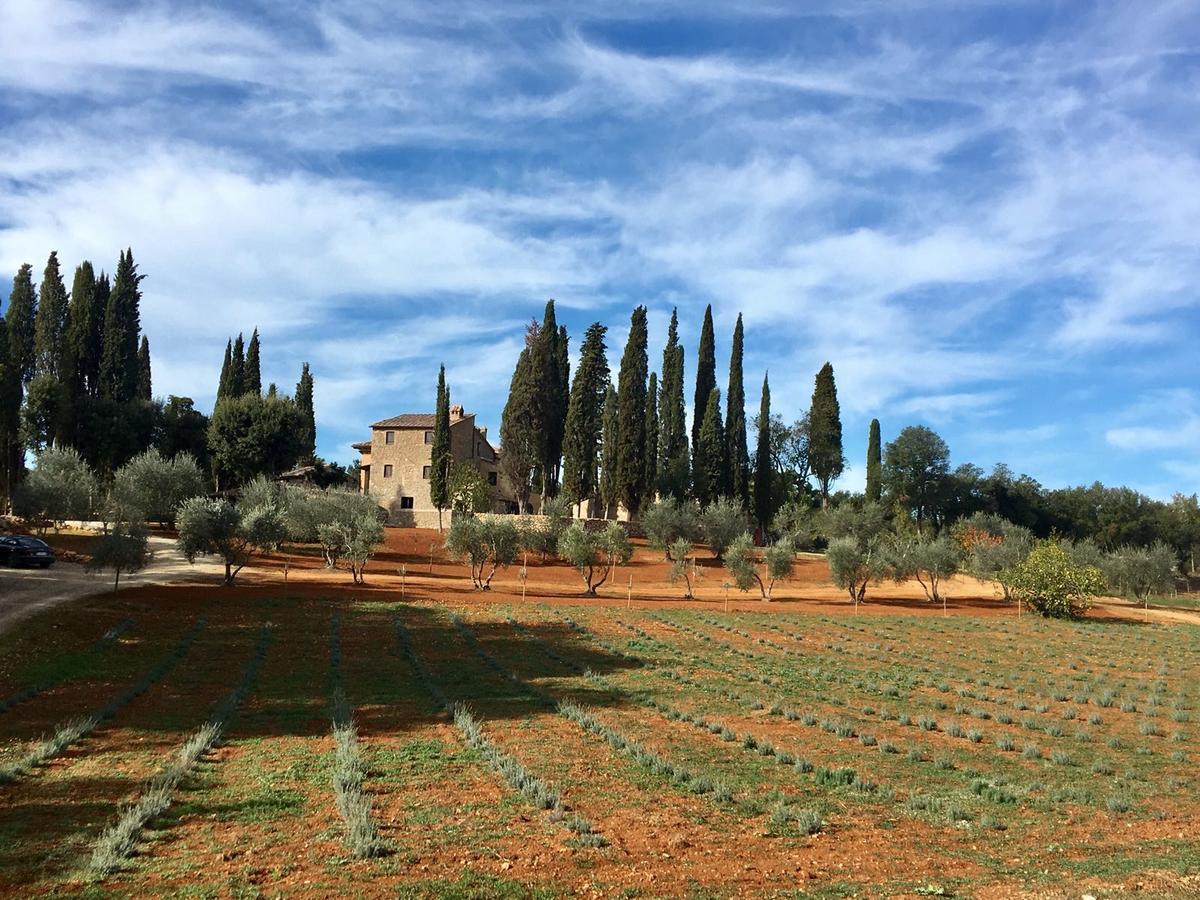La Tenuta Di Castelvecchio San Gimignano Eksteriør billede