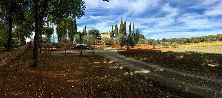 La Tenuta Di Castelvecchio San Gimignano Eksteriør billede